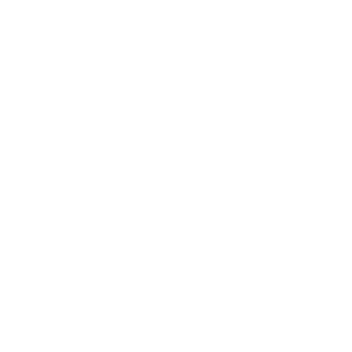 The Digital Theory
